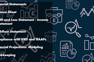 prepare balance sheets, profit and loss, cash flows