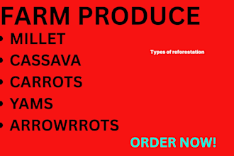 sell fresh millet, cassava, carrots and yams to local buyers