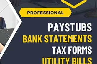 make paystub, bank reconciliation profit and loss, balance sheet and cash flow