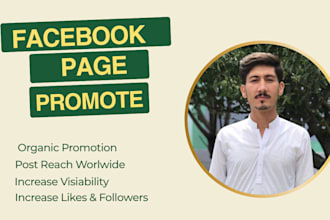 do the organic promotion of your facebook page