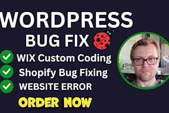 fix website bugs, wordpress errors, shopify issues, or wix bugs professionally