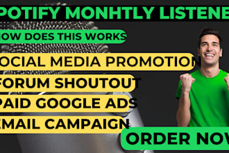 promote your spotify album, spotify track with real targeted music fans