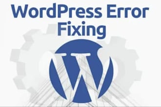 shopify bugs errors debugging customization in 24 hours