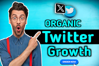 do organic twitter x promotion for fast and real followers