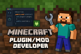create a professional minecraft plugin, mod or servers