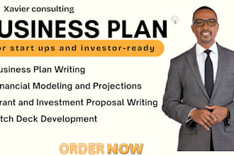 write investor ready business plans for startups, grants, business plan writer