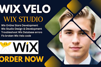 fix wix websites with wix velo wix studio website design wix API wix database