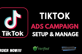 tiktok ads run tiktok tiktok campaign tiktok ads manager dropshipping ads tiktok