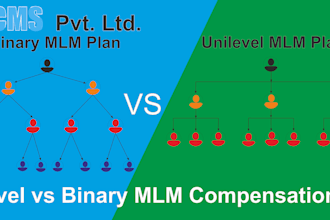 custom mlm websites, software solutions, and binary mlm systems with expert pro