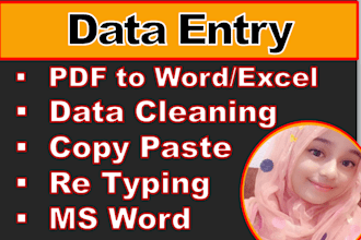 do fast data entry typing work job, copy paste, ms word typing