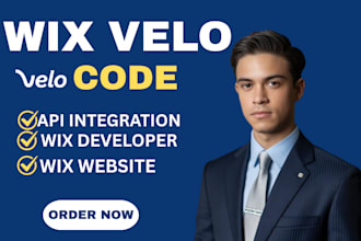 develop wix website using wix velo code fix wix website wix database wix api