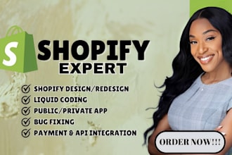 custom shopify private public app custom shopify plugin liquid api code graphql