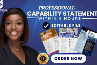 design professional federal government capability statement, catchy design
