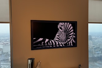 mount your television and setup your home network