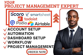 setup odoo airtable smartsheet copper crm scrum podio scoro todoist project va