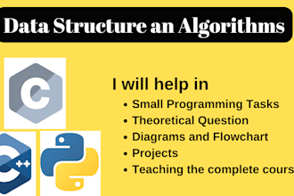 help in data structure and algorithm projects