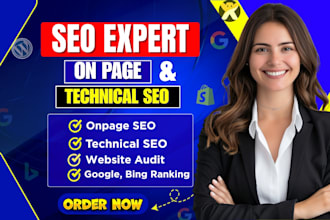 do on page and technical SEO for wordpress, shopify, wix,webflow websites