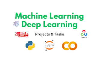 do machine learning, deep learning, computer vision, ai projects and task