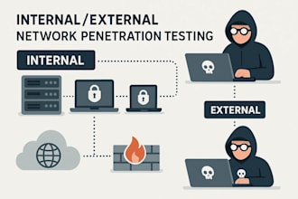 perform internal or external network penetration testing
