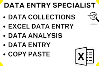 do professional data entry fast accurate and confident