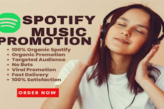 professional spotify music spotify music promotion