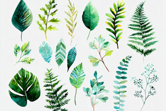 paint watercolour botanical illustrations