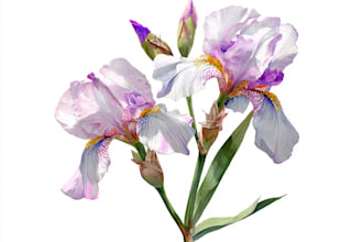 watercolor botanical illustrations of flowers and plants