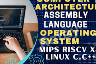 do computer architecture, operating system, assembly language ,mips and risc v