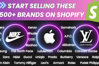 launch brand seller shopify droshipping store