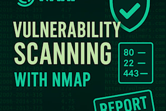 perform website or network vulnerability scan using nmap plus full report