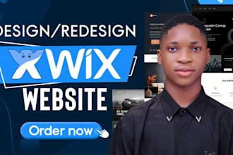 wix website design, redesign business wix website, website development