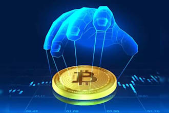 investigate cryptocurrency wallets and transactions