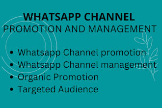 do whatsapp marketing and organic promotion
