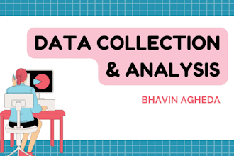 do professional data analysis and data visualization in python