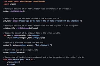 do custom programming in python and golang