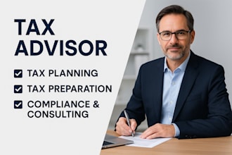 do tax advisor for personal, small business, and expat tax planning