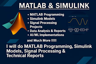 do matlab programming, simulink models signal processing and technical reports