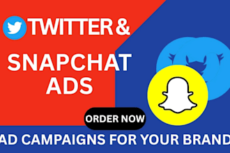 run high converting snapchat ads and twitter ad campaigns for your brand