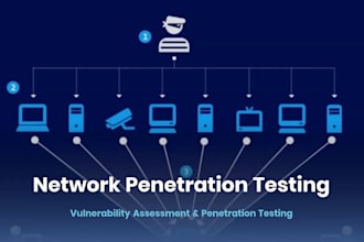 conduct web app, penetration testing and vulnerability assessment