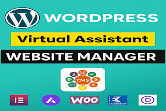 be your trusted wordpress virtual assistant for edits, SEO, and support