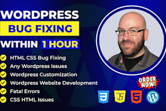 fix wordpress issues,malware, critical errors, bug fix, and wordpress help fast