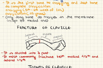 create beautiful handwritten notes and diagram for student and education