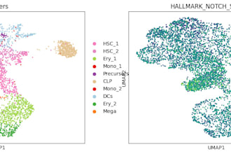do the bioinformatical analysis such as rnaseq, scrnaseq and so on