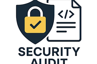 perform a professional security audit of your application
