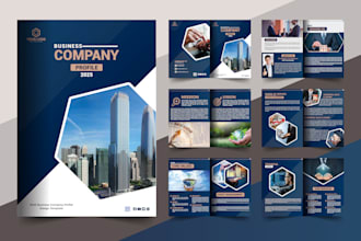 do the professional company profile, brochure, annual report