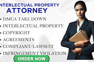 your lawyer in intellectual property, trademark, copyrights and patent disputes