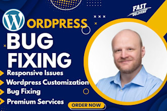 fix wordpress issues, wordpress bug fix, wordpress website fix or CSS issues