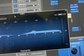mix and master your vocals and song for you