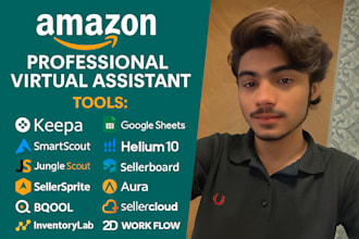 handle amazon account management, brand approval, and wholesale product sourcing