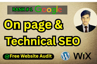 do on page and technical SEO audit and fix search console indexing issues